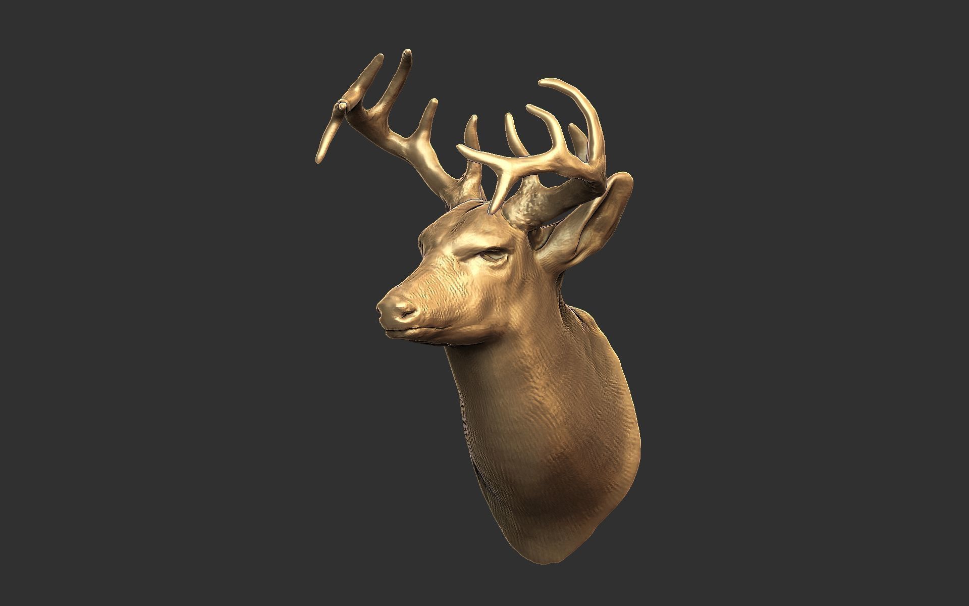 Deer head-WALL MOUNTED 3D print model_2