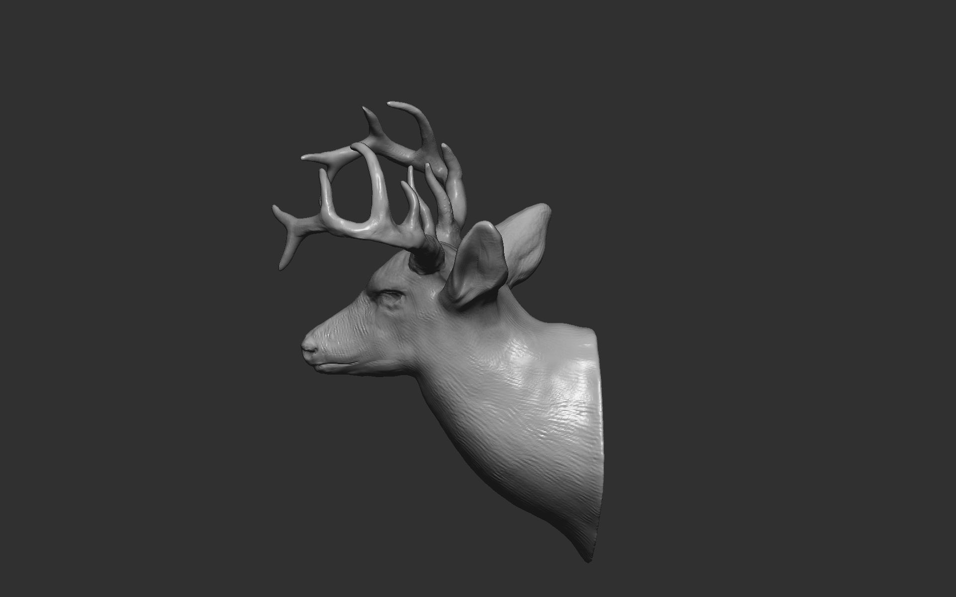 Deer head-WALL MOUNTED 3D print model_10