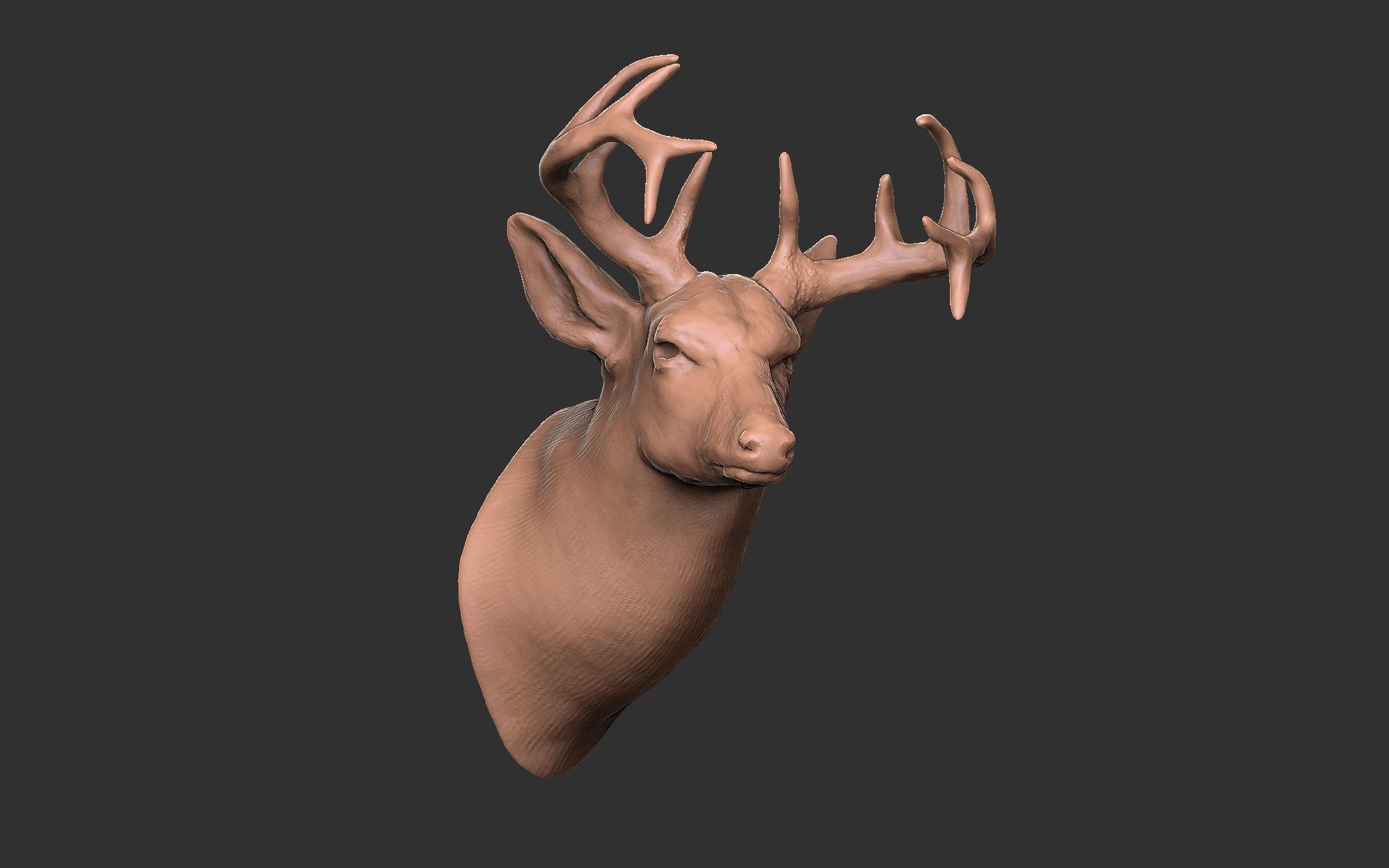 Deer head-WALL MOUNTED 3D print model_7
