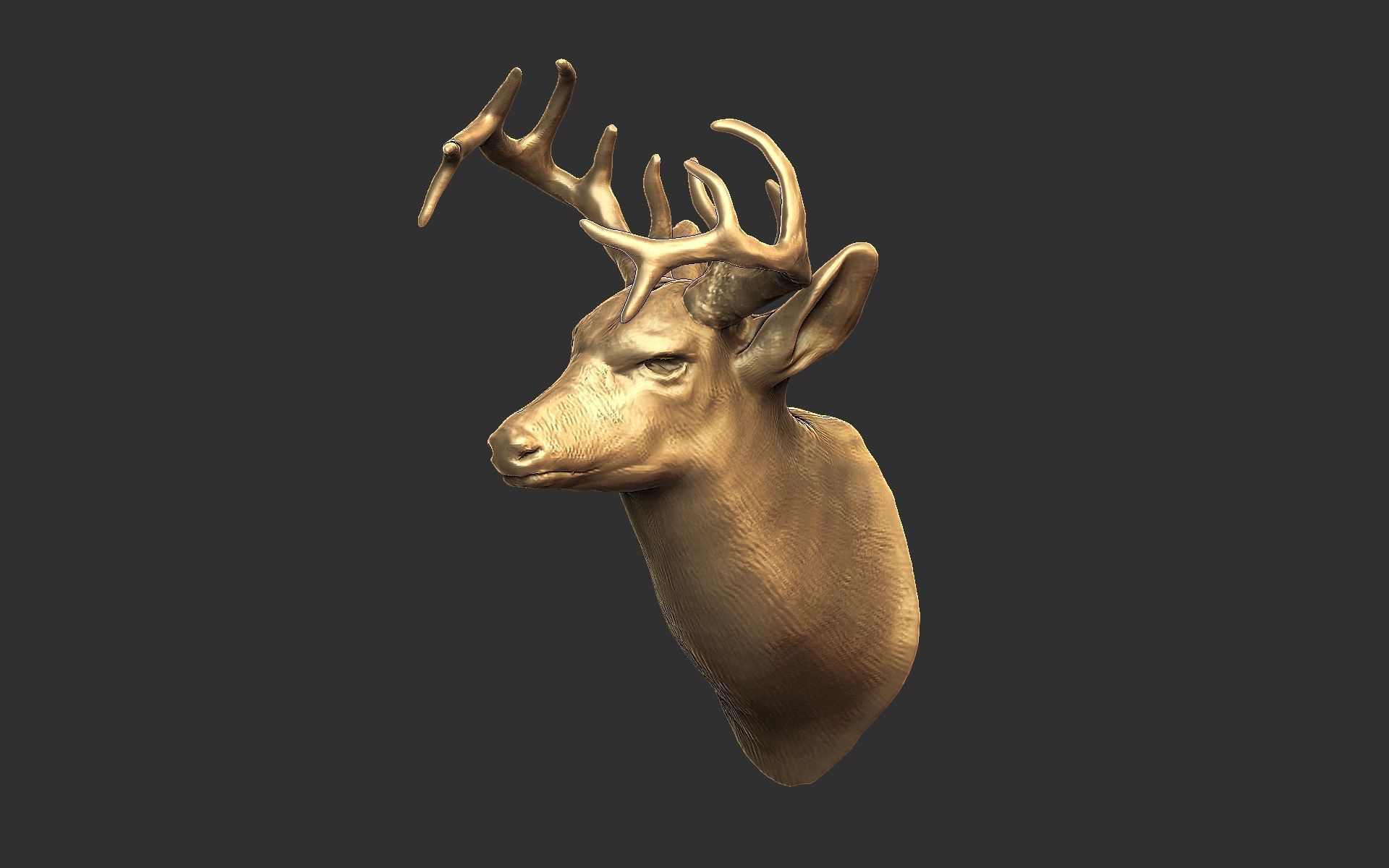 Deer head-WALL MOUNTED 3D print model_9