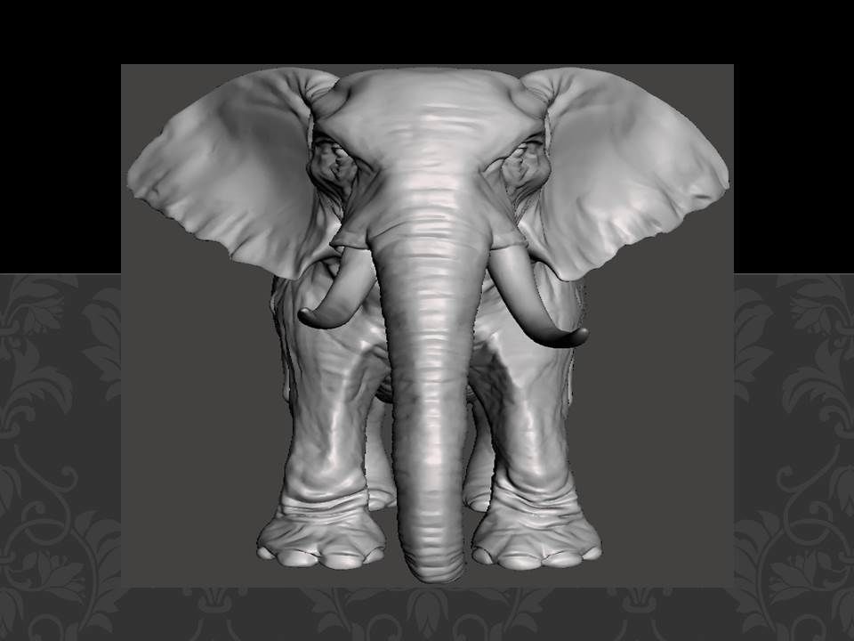 Animal Pack 05 3D Printable STL Jungle Farm Zoo Sea 3D print model_3