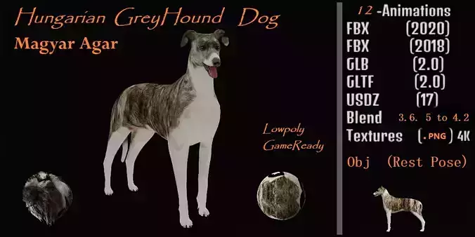 Hungarian Greyhound Magyar AgaR Dog