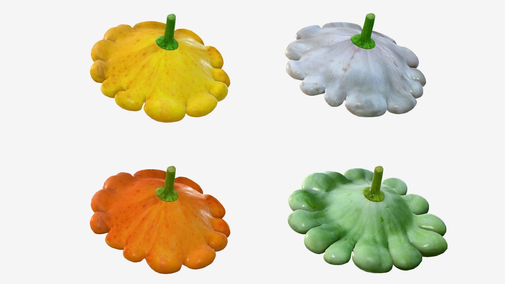 Scallop squash Low-poly 3D model_13
