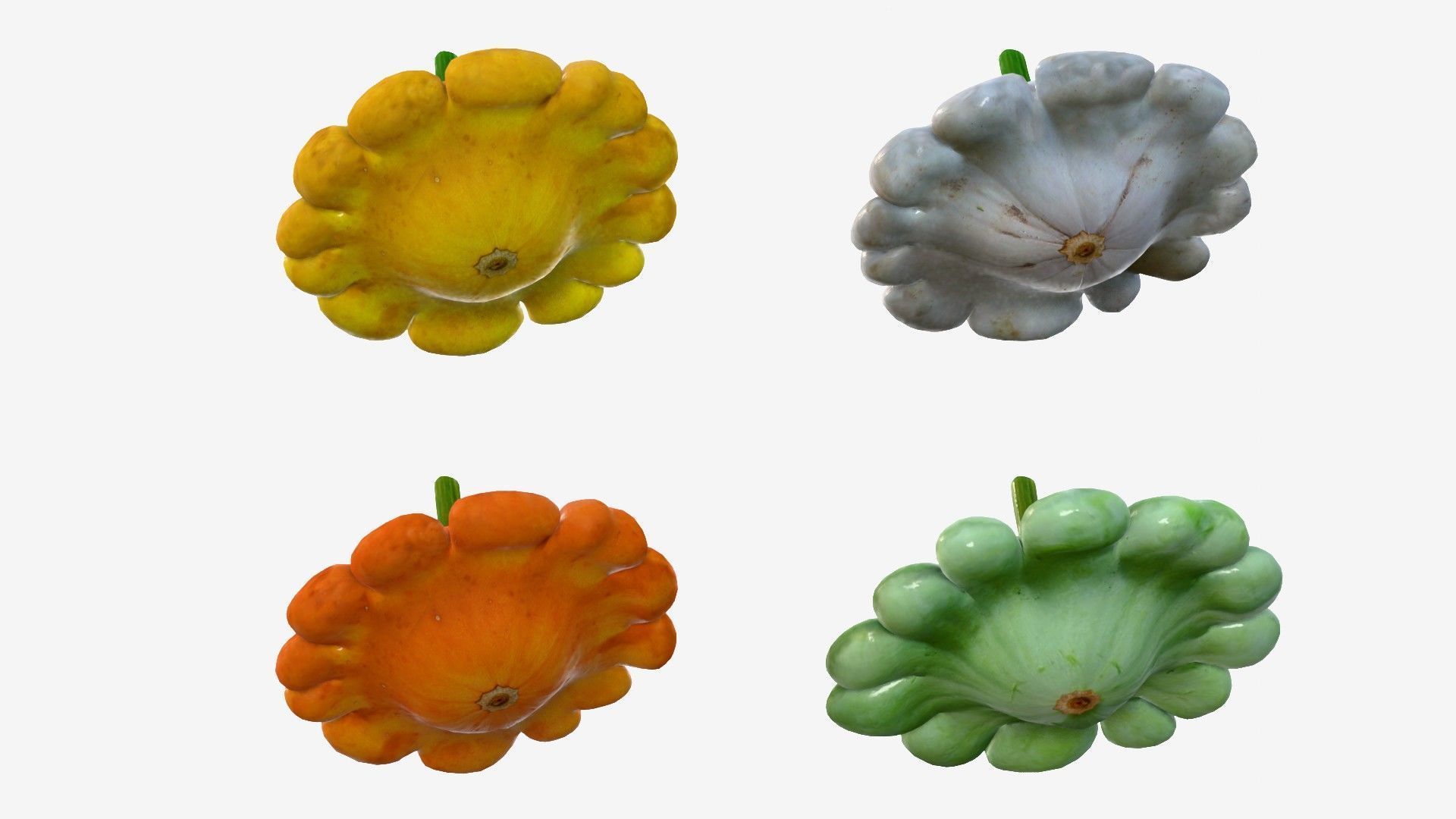 Scallop squash Low-poly 3D model_2