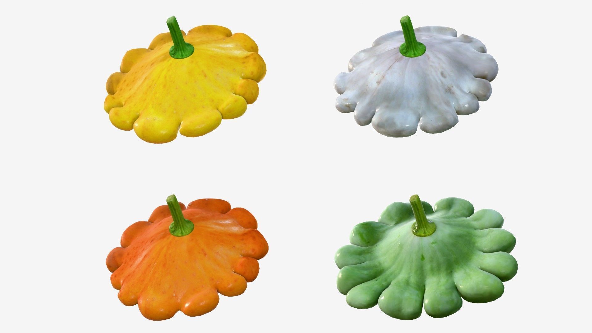 Scallop squash Low-poly 3D model_12