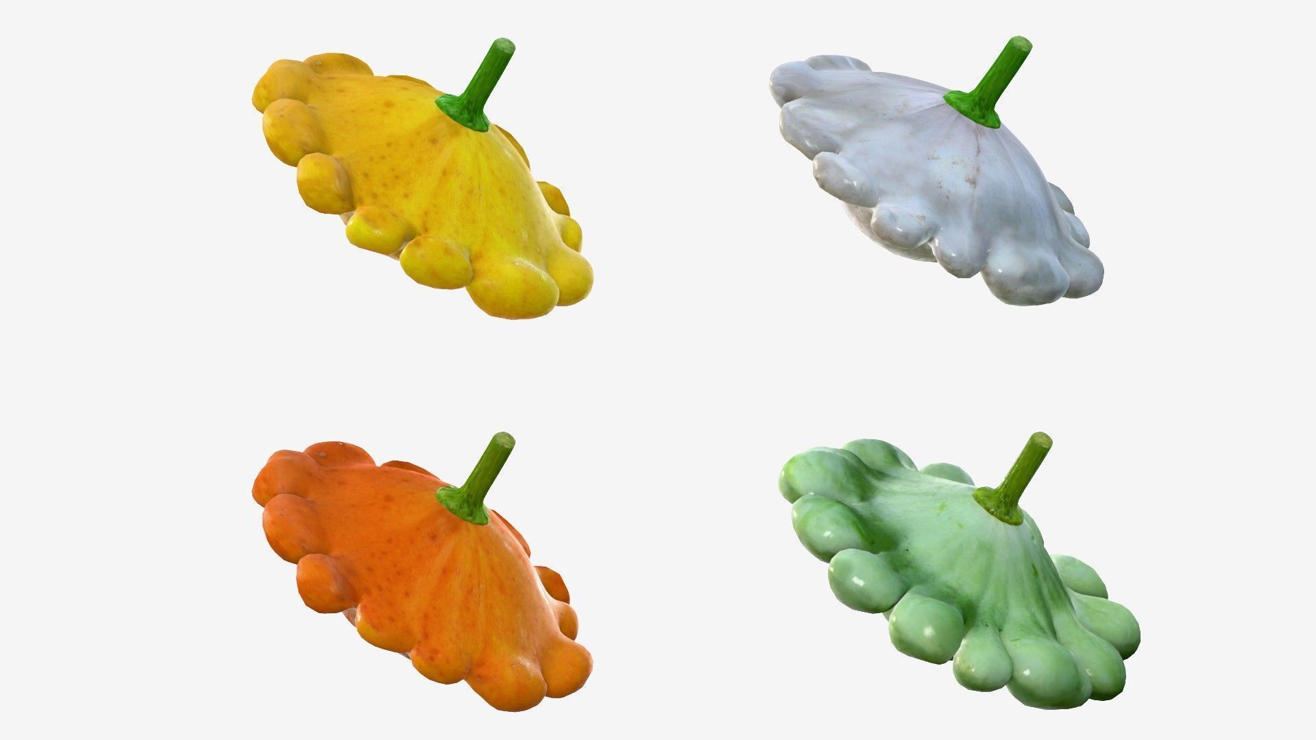 Scallop squash Low-poly 3D model_10