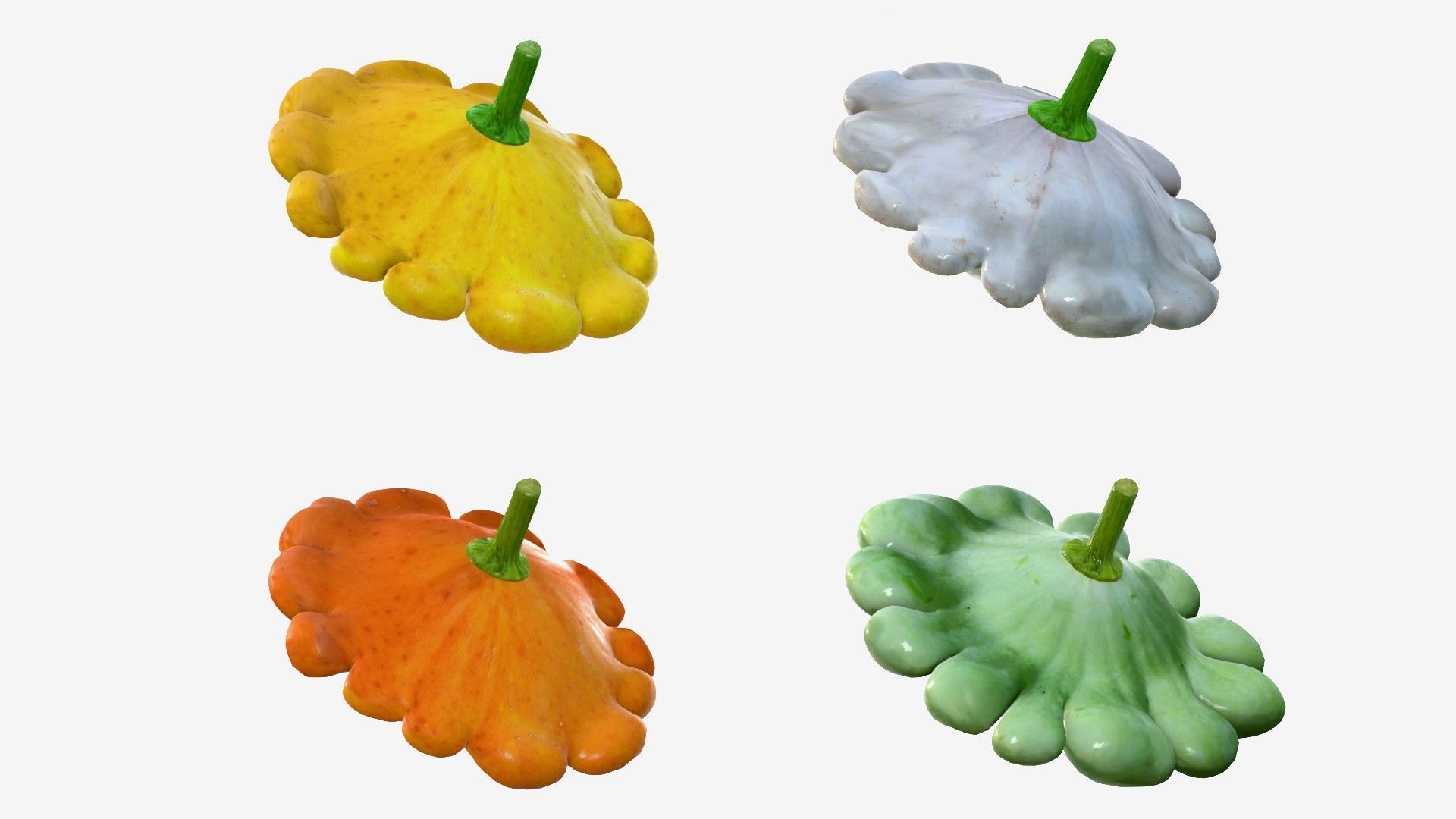 Scallop squash Low-poly 3D model_11