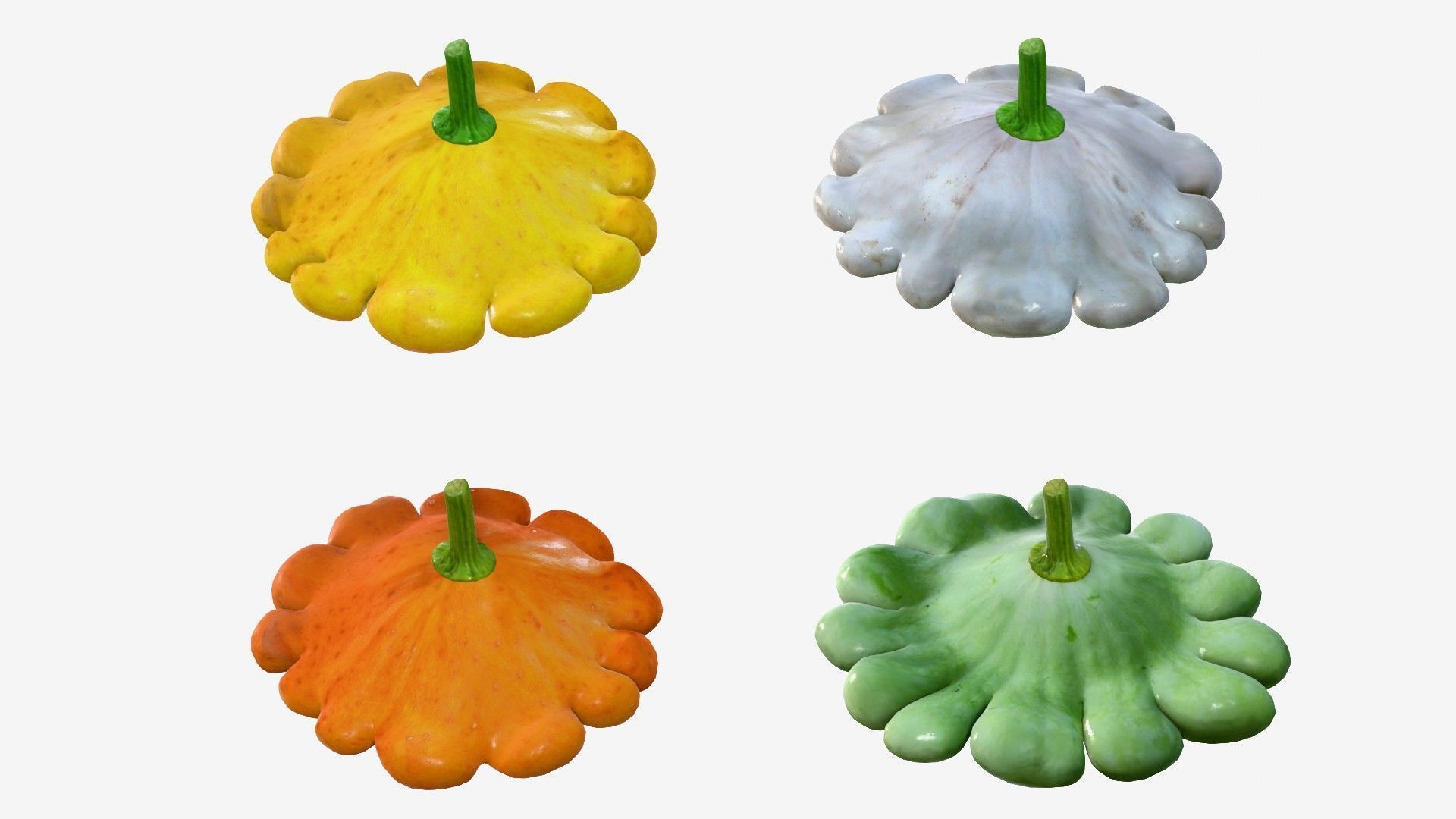 Scallop squash Low-poly 3D model_1