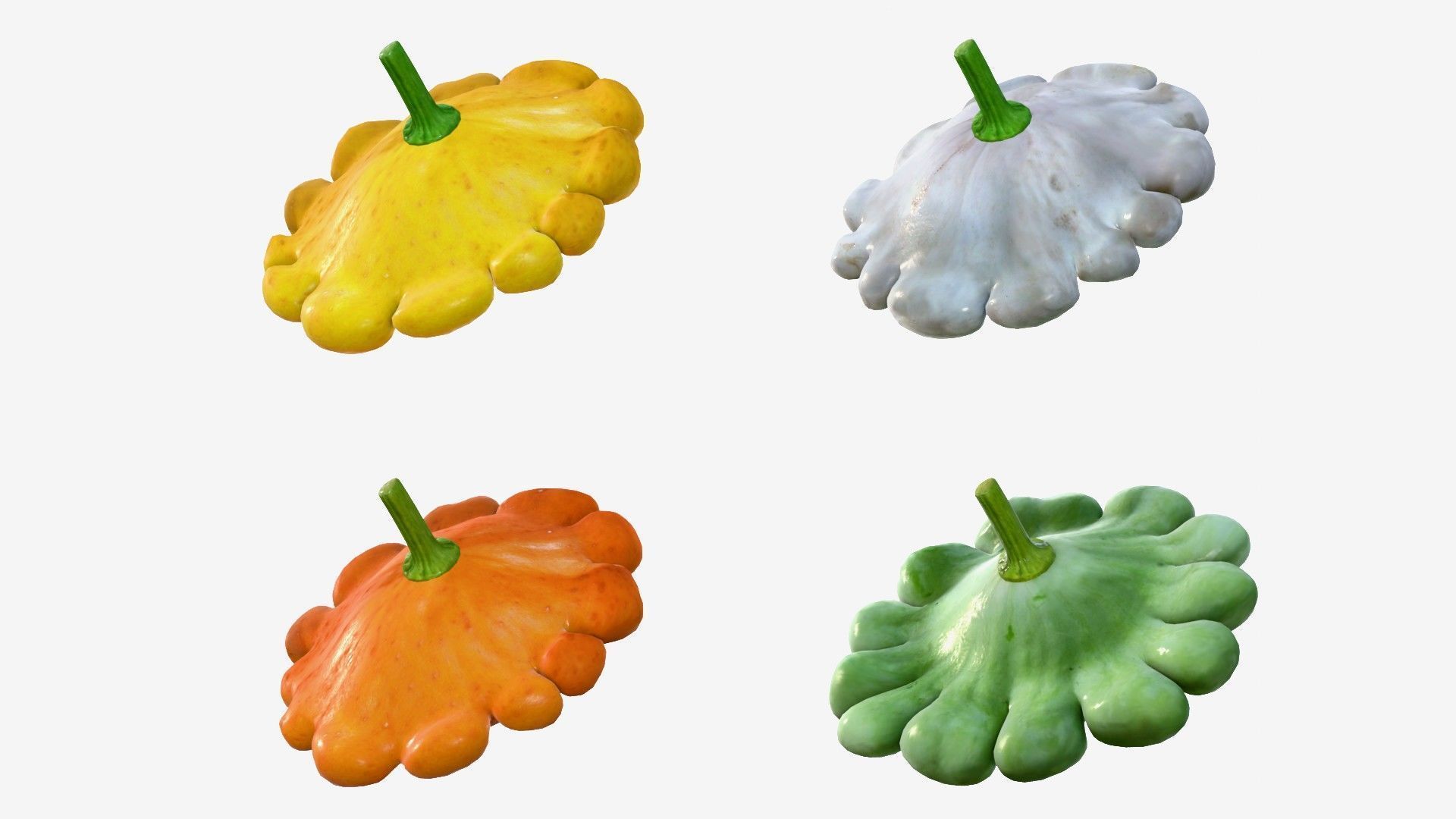 Scallop squash Low-poly 3D model_14