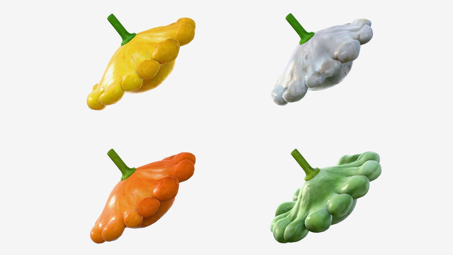 Scallop squash Low-poly 3D model_16