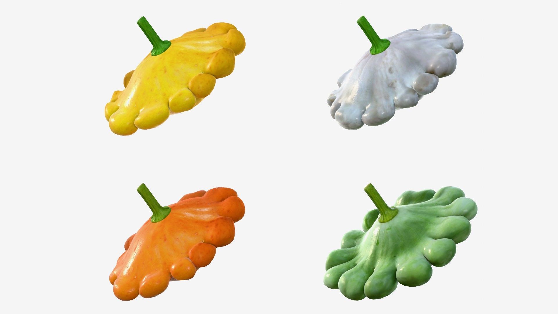 Scallop squash Low-poly 3D model_15