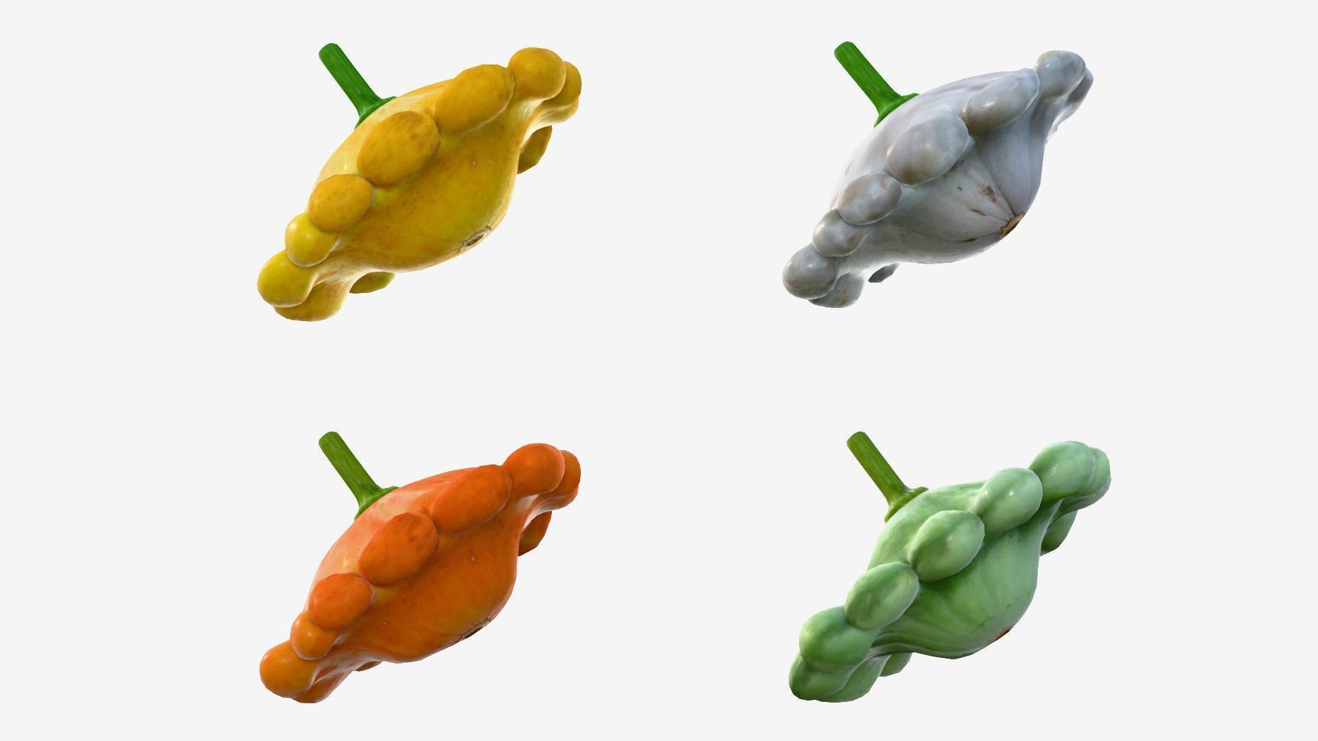 Scallop squash Low-poly 3D model_18