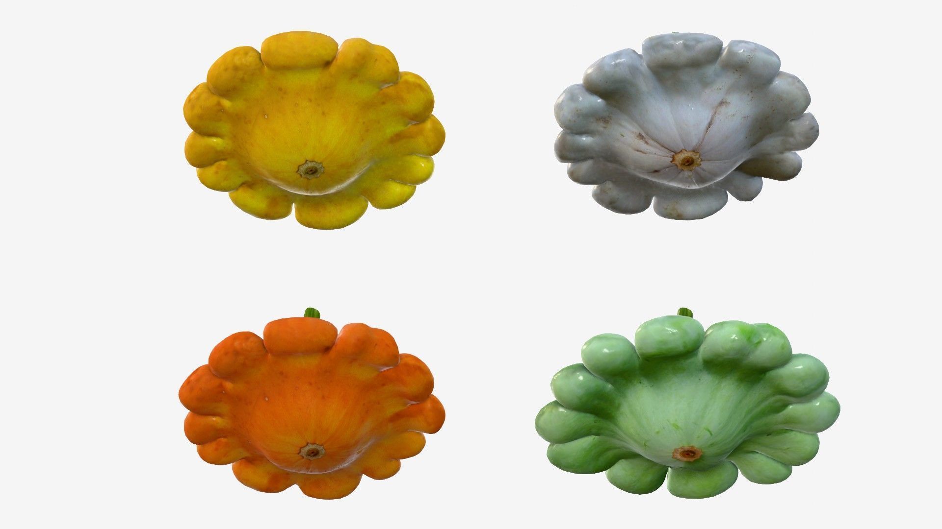 Scallop squash Low-poly 3D model_3