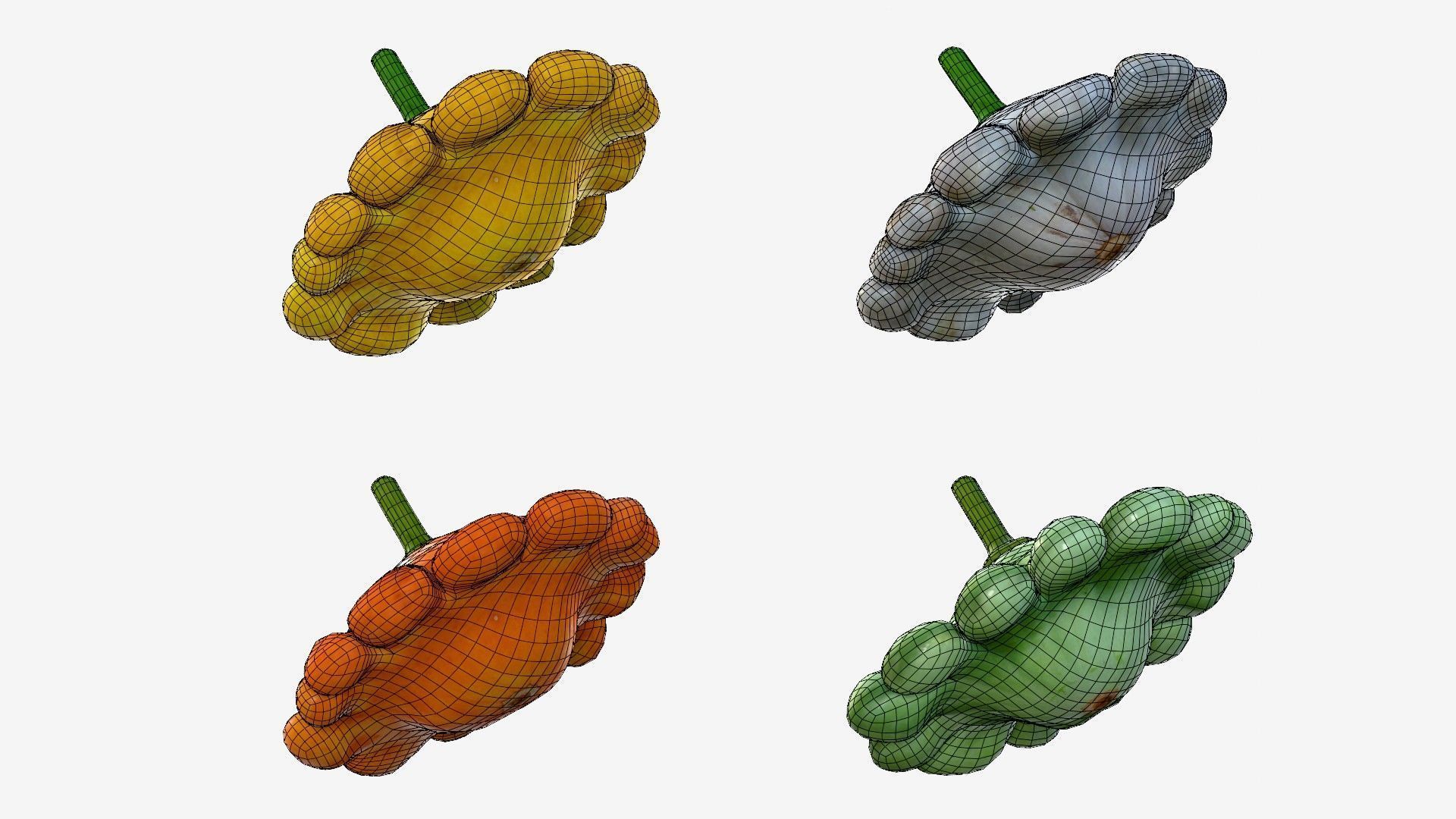 Scallop squash Low-poly 3D model_41