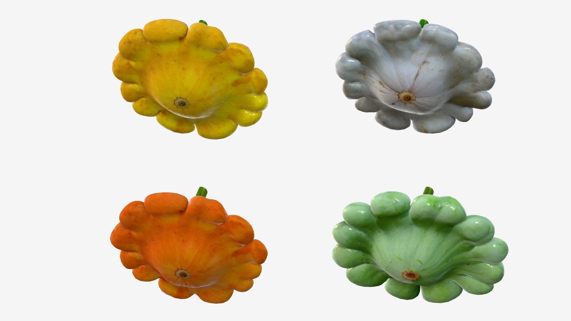Scallop squash Low-poly 3D model_4