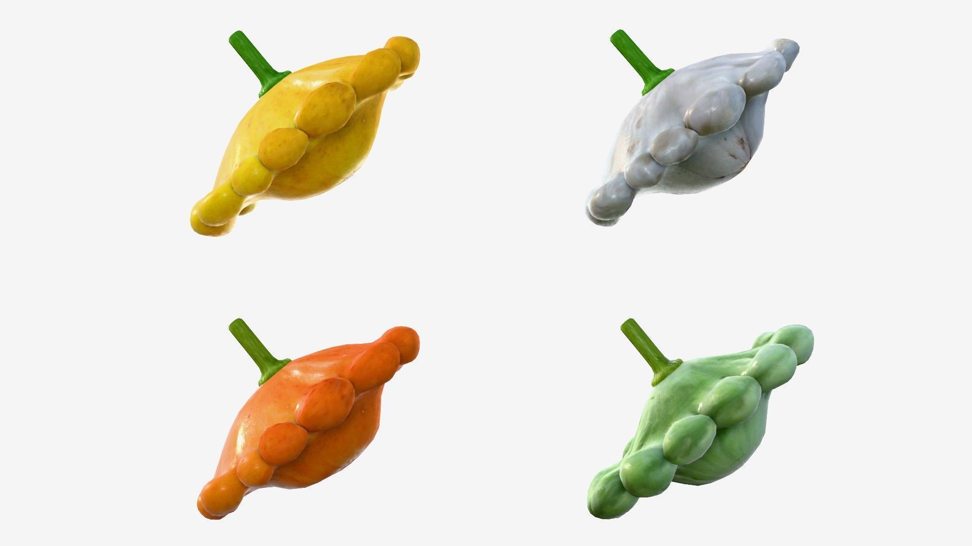 Scallop squash Low-poly 3D model_17