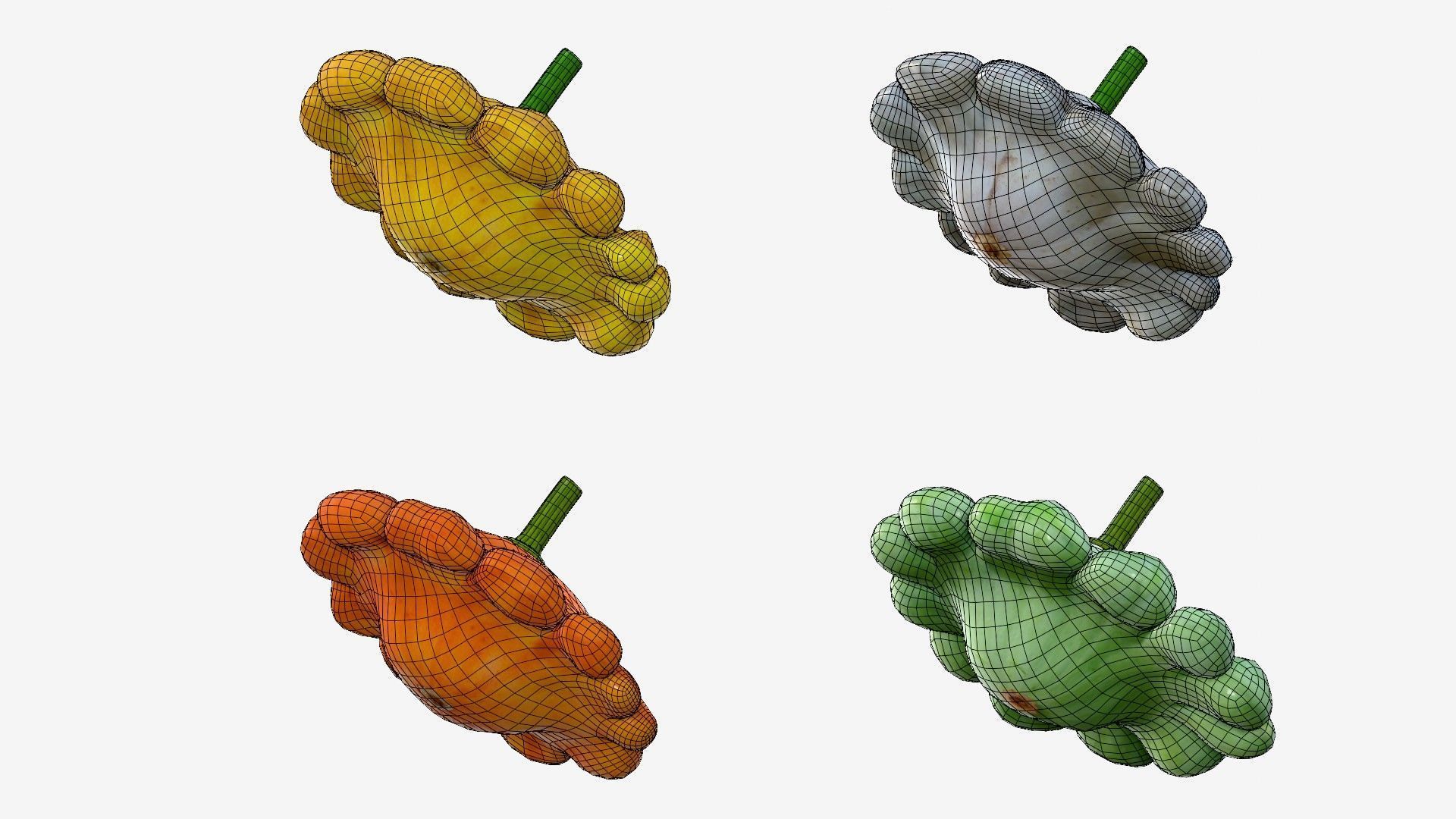 Scallop squash Low-poly 3D model_28