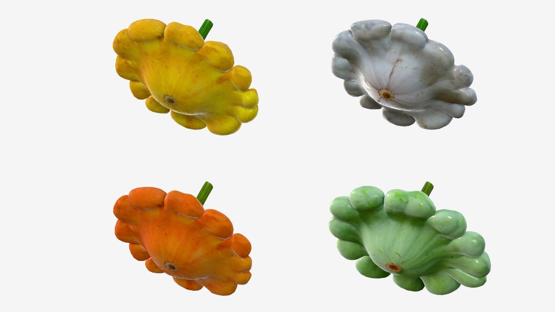 Scallop squash Low-poly 3D model_5