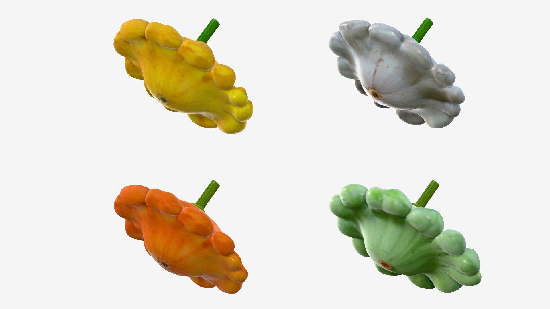 Scallop squash Low-poly 3D model_6