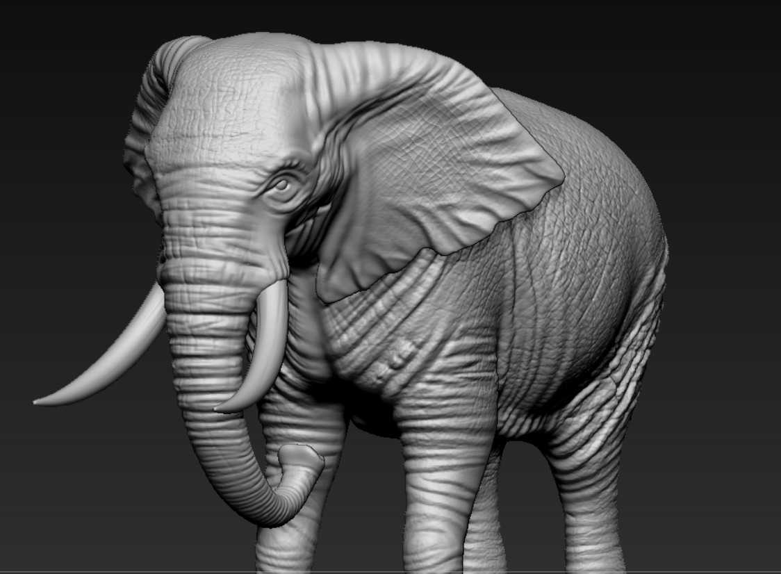 ELEPHANT  3D print model_4