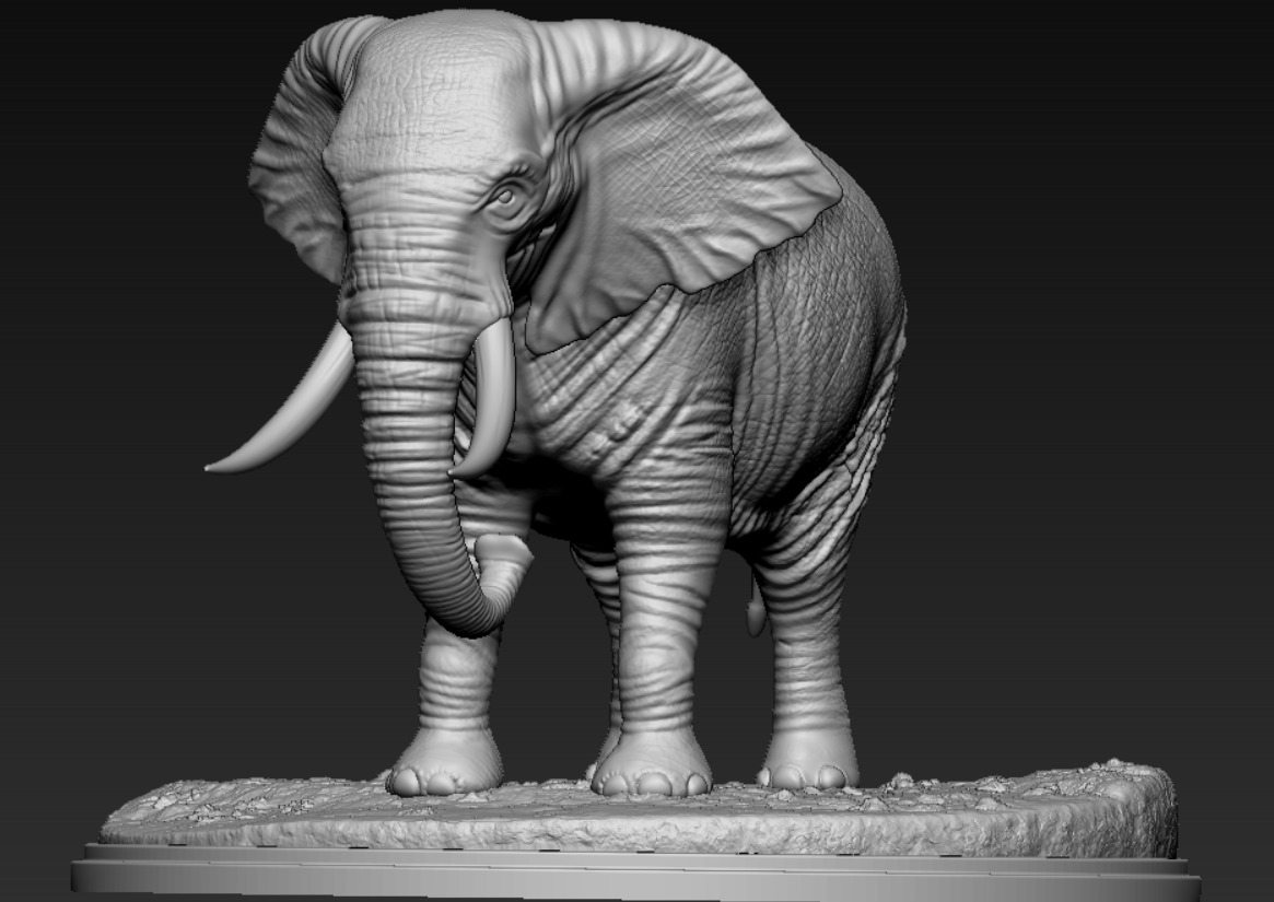 ELEPHANT  3D print model_3