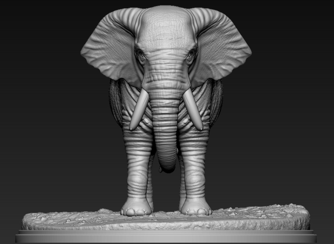 ELEPHANT  3D print model_2