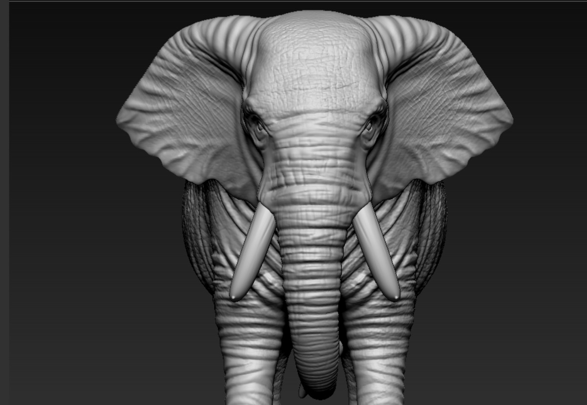 ELEPHANT  3D print model_7