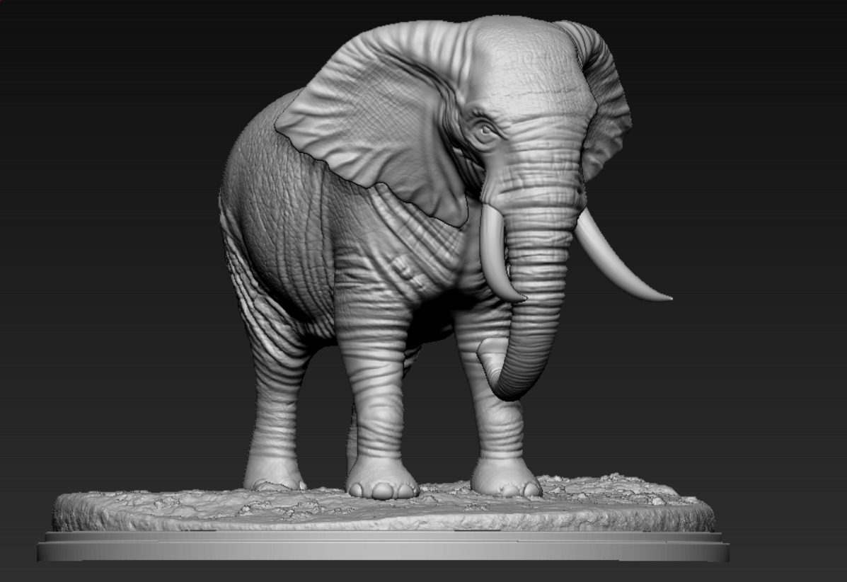 ELEPHANT  3D print model_6