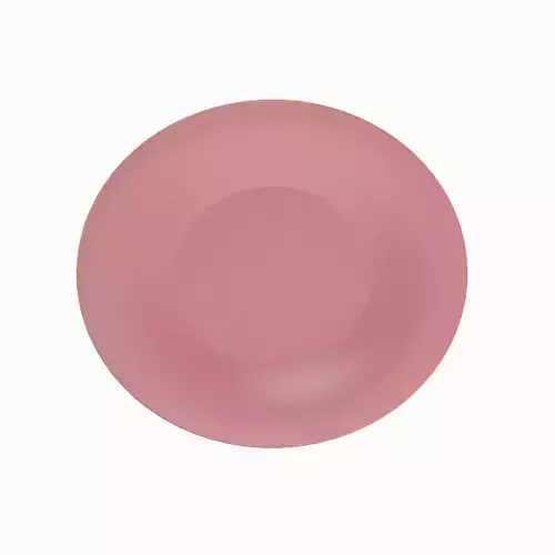 Disposable Plastic Plate B 02