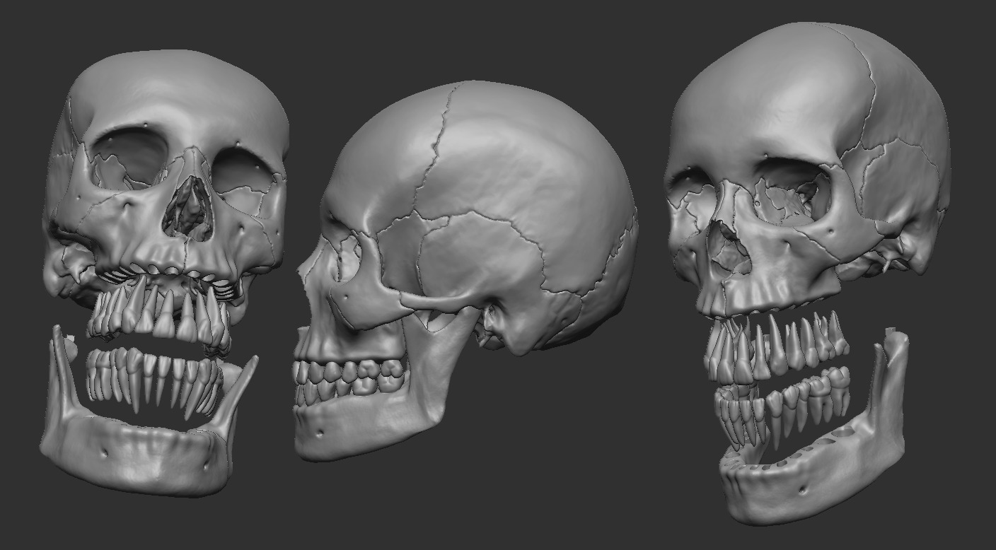 Human skull craneo humano 3D print model_2