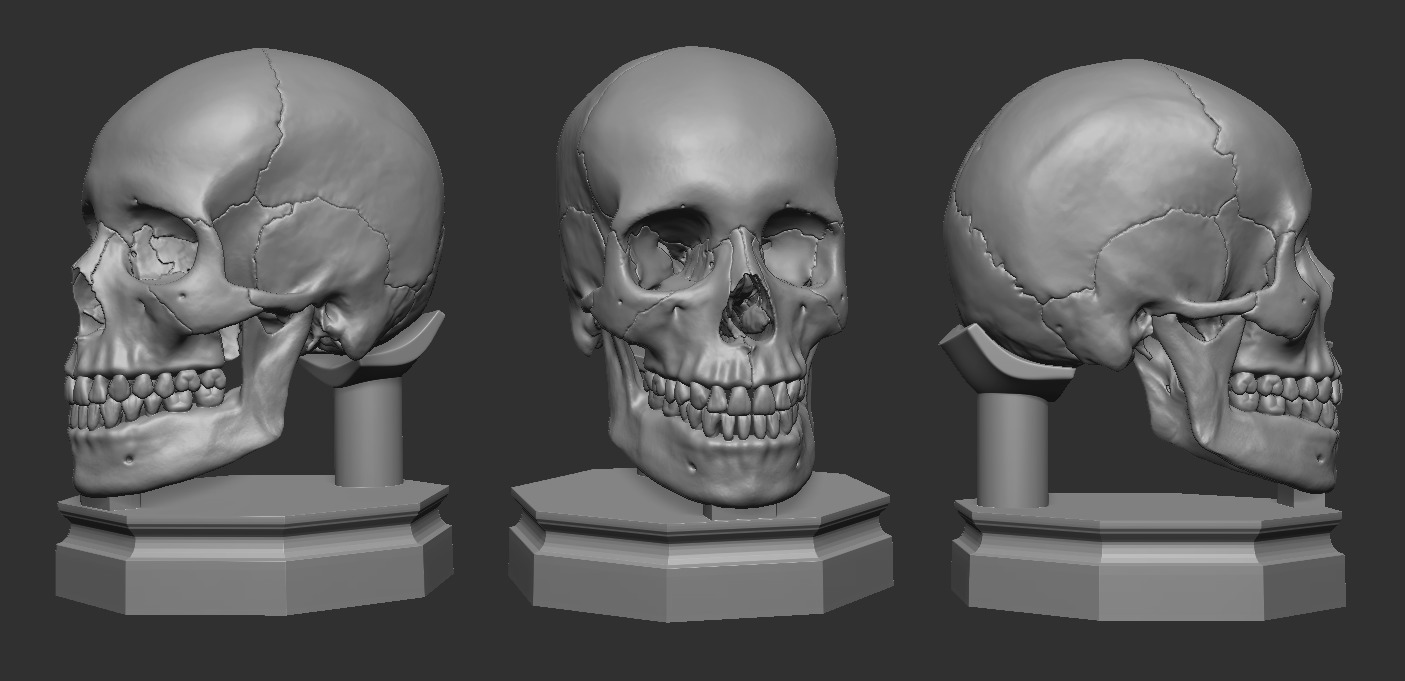 Human skull craneo humano 3D print model_3
