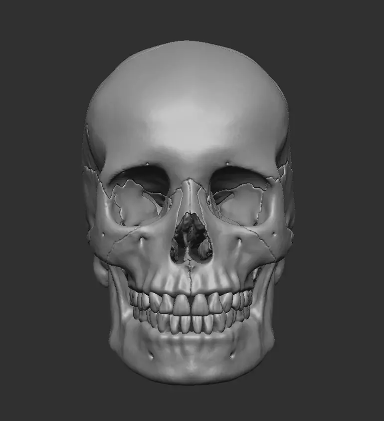 Human skull craneo humano 3D print model_0