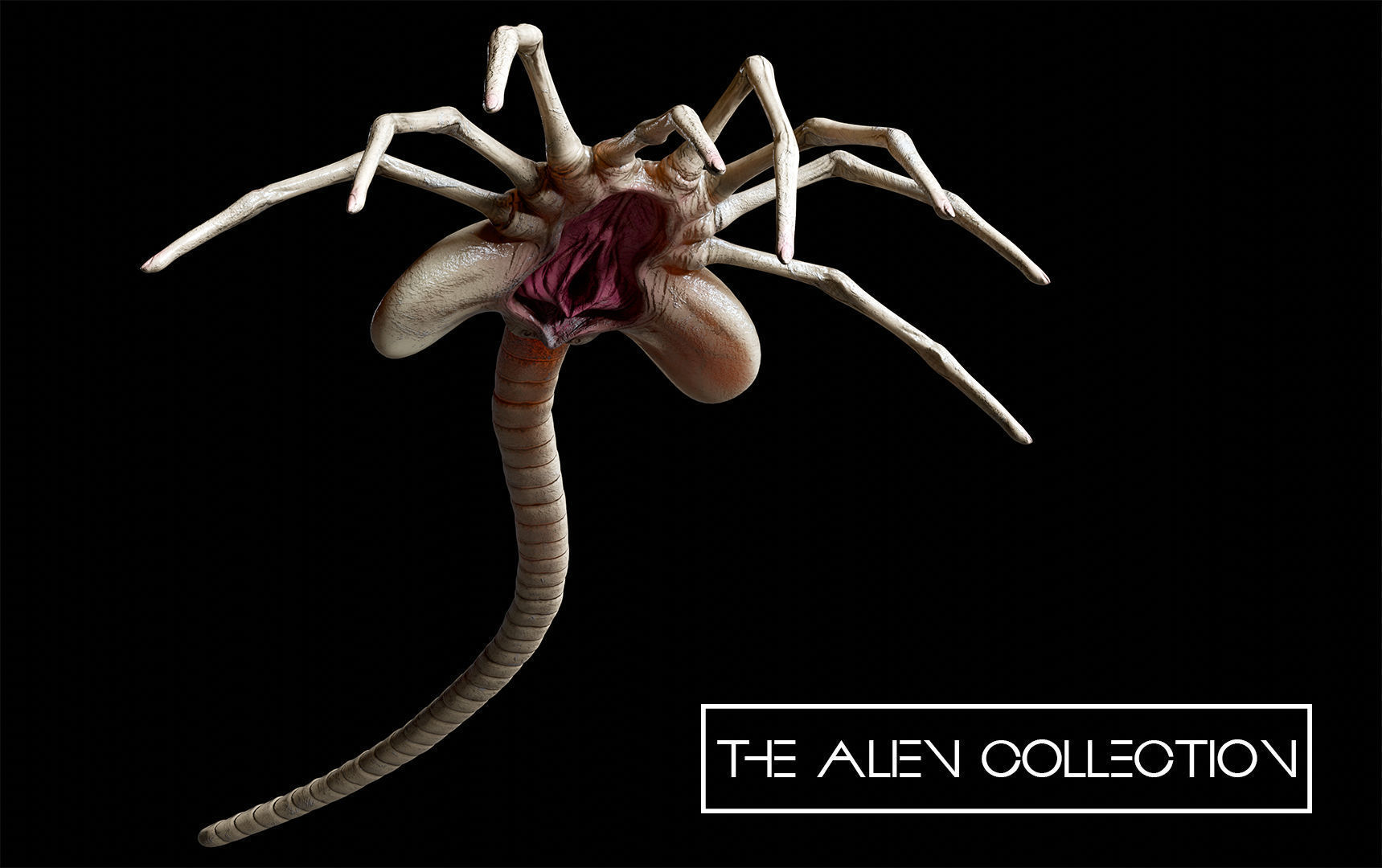 THE ALIEN COLLECTION Low-poly 3D model_2