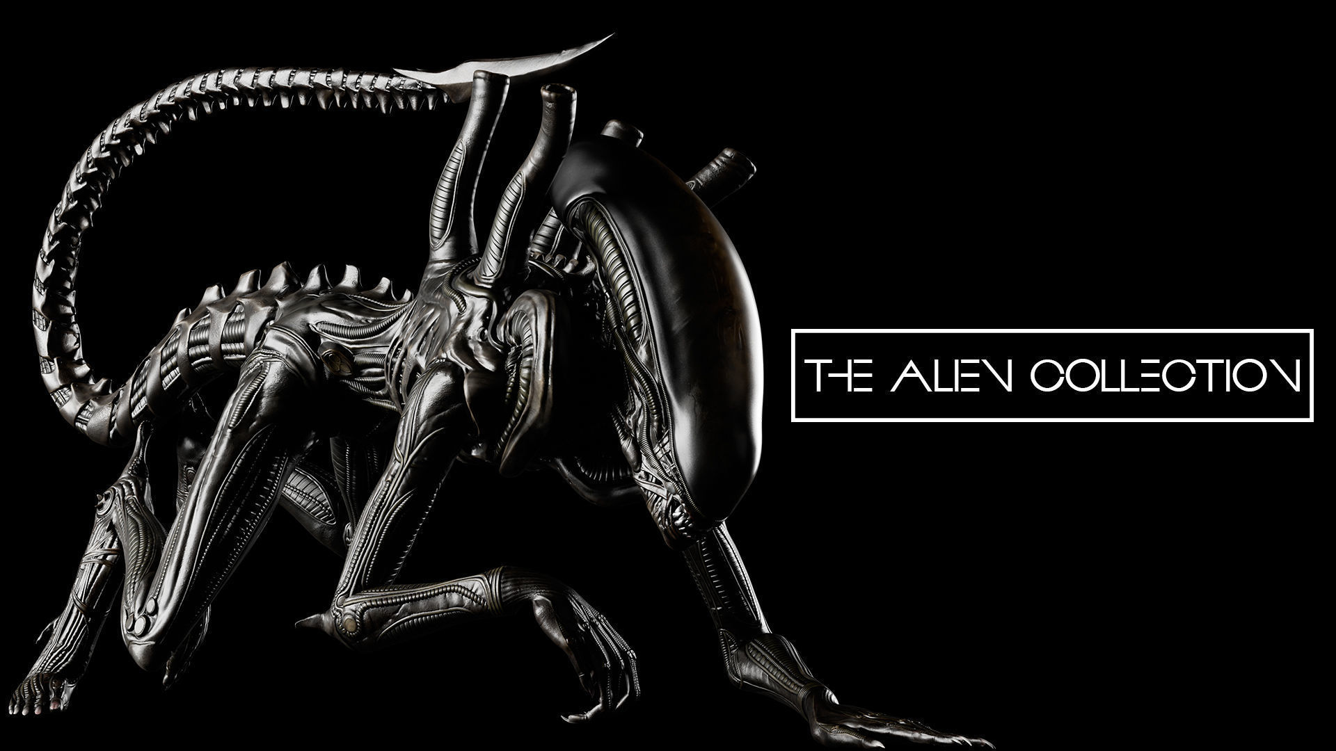 THE ALIEN COLLECTION Low-poly 3D model_7