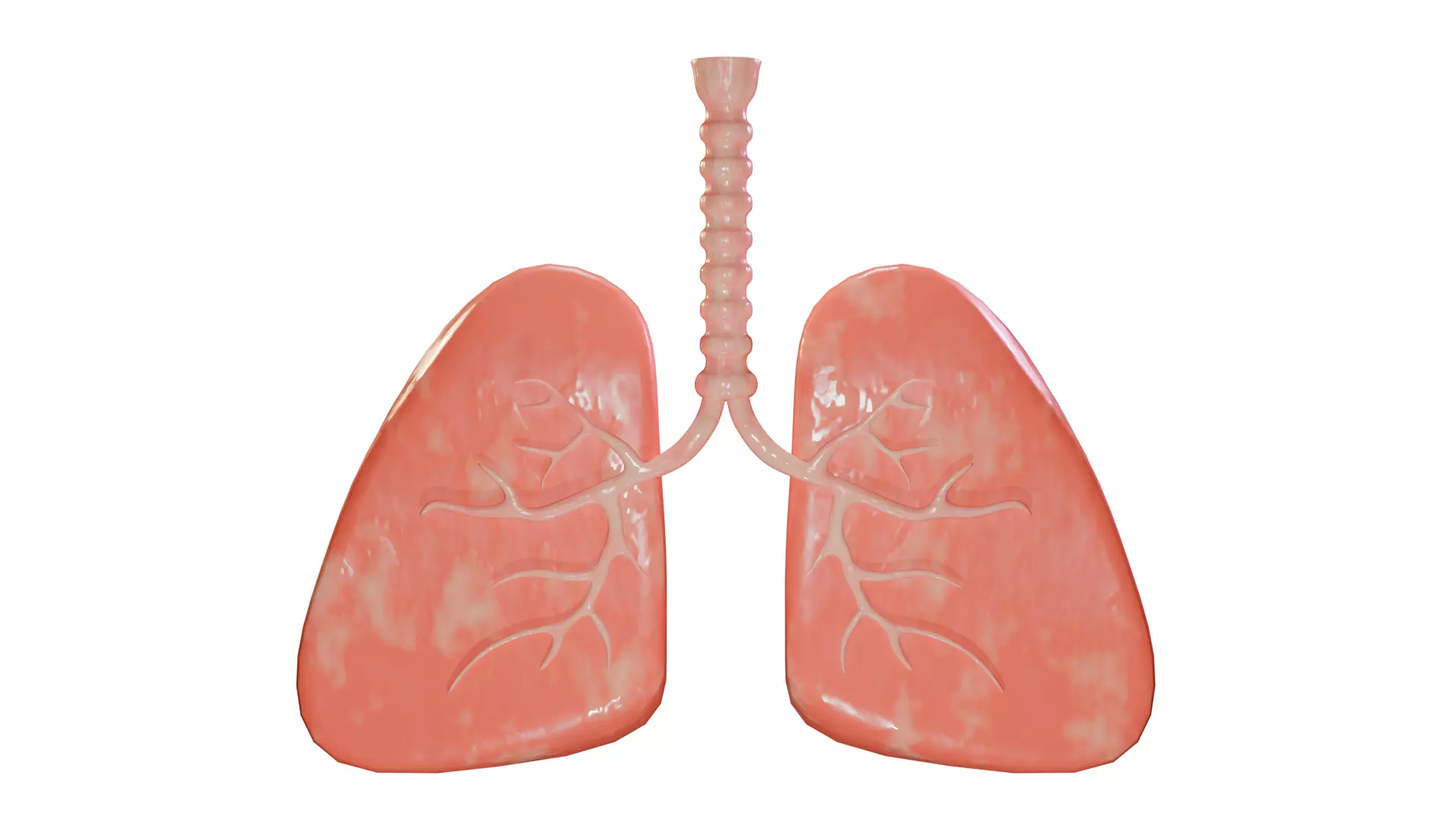 Lungs Human Organ Low-poly 3D model