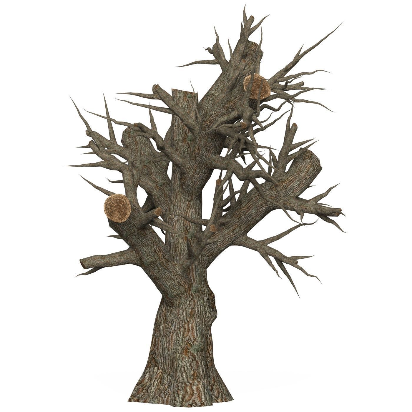 Game Ready Dead Tree 02 Low-poly 3D model_2