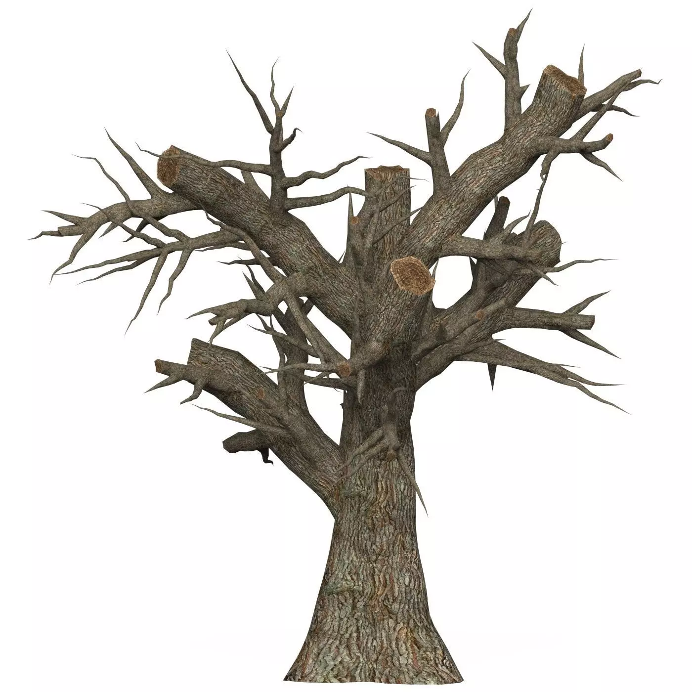 Game Ready Dead Tree 02 Low-poly 3D model_0