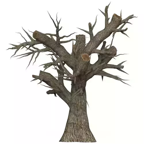 Game Ready Dead Tree 02