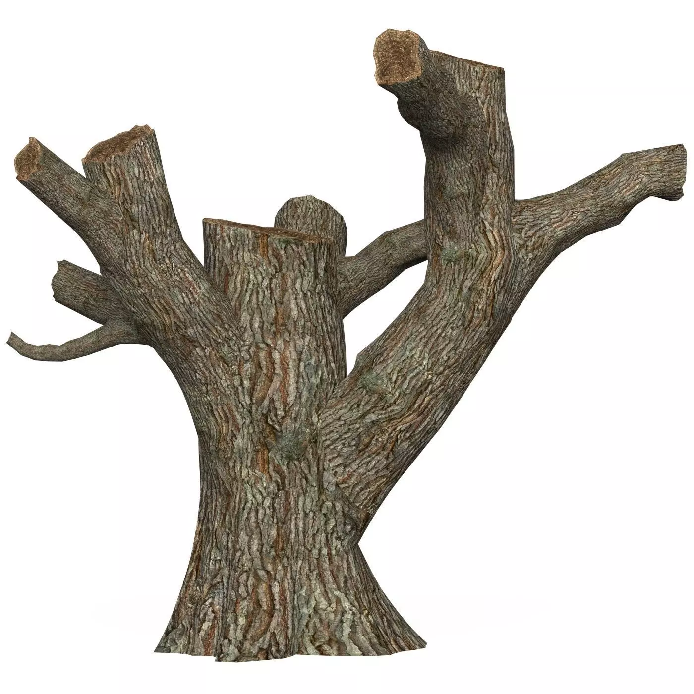 Game Ready Dead Tree 03 Low-poly 3D model_0