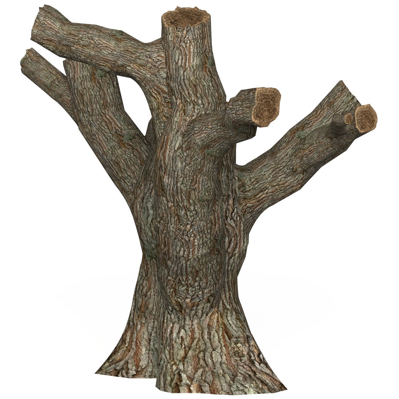 Game Ready Dead Tree 03 Low-poly 3D model_1