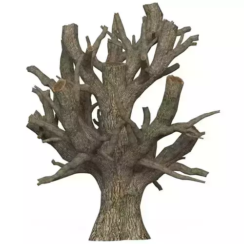 Game Ready Dead Tree 04