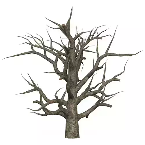 Game Ready Dead Tree 05