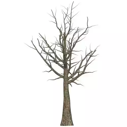 Game Ready Dead Tree 06