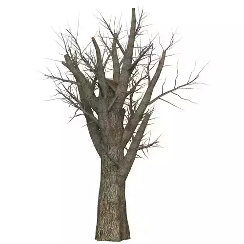 Game Ready Dead Tree 07