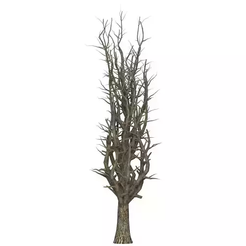 Game Ready Dead Tree 10