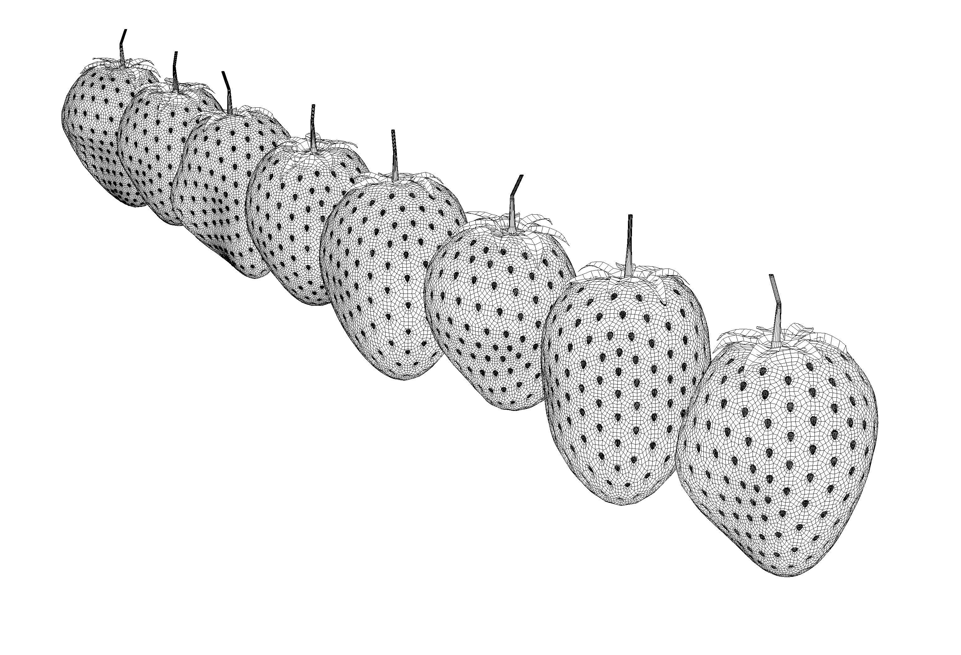Irregular Shaped Strawberrys 3D model_10
