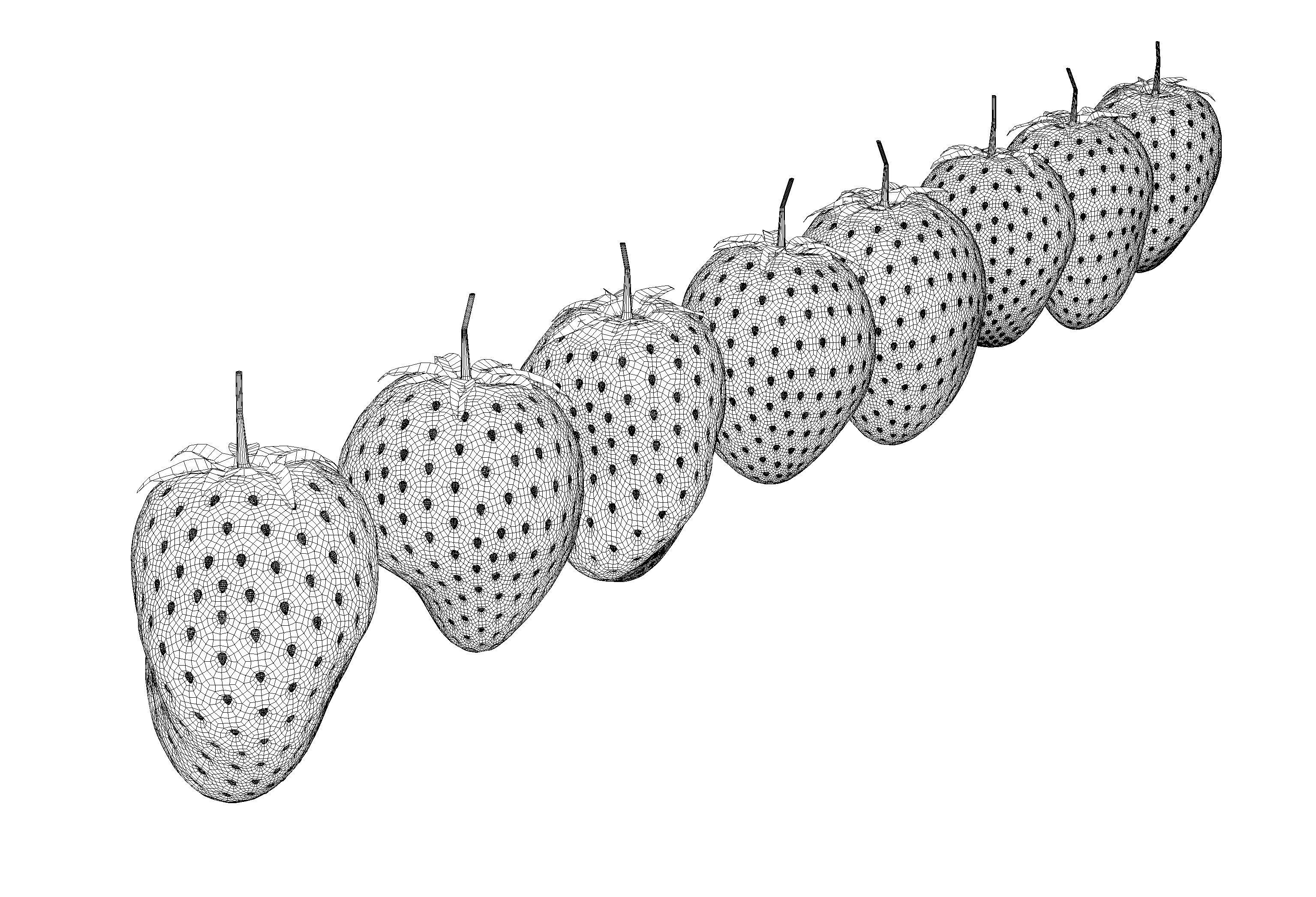 Irregular Shaped Strawberrys 3D model_9