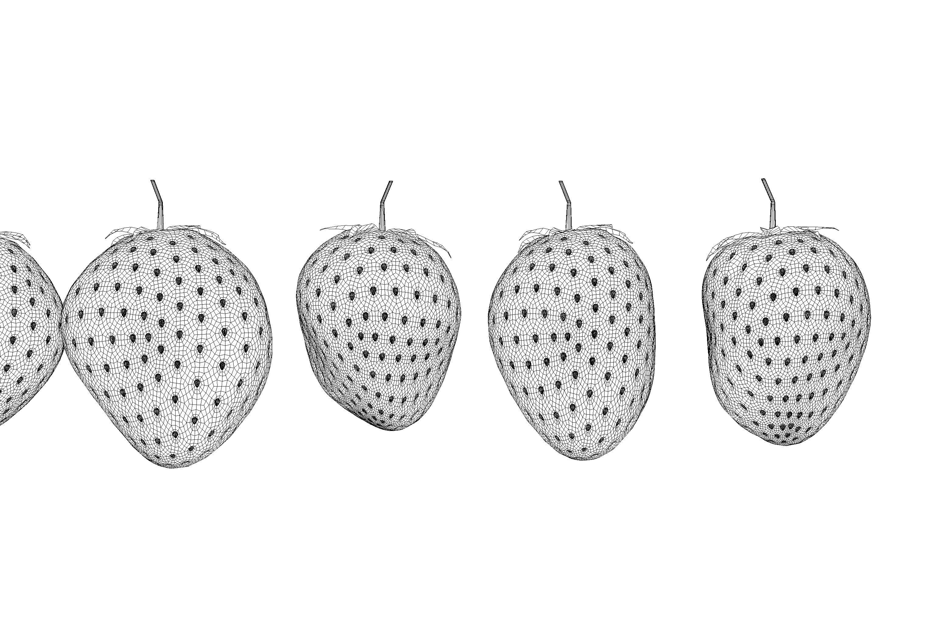 Irregular Shaped Strawberrys 3D model_7