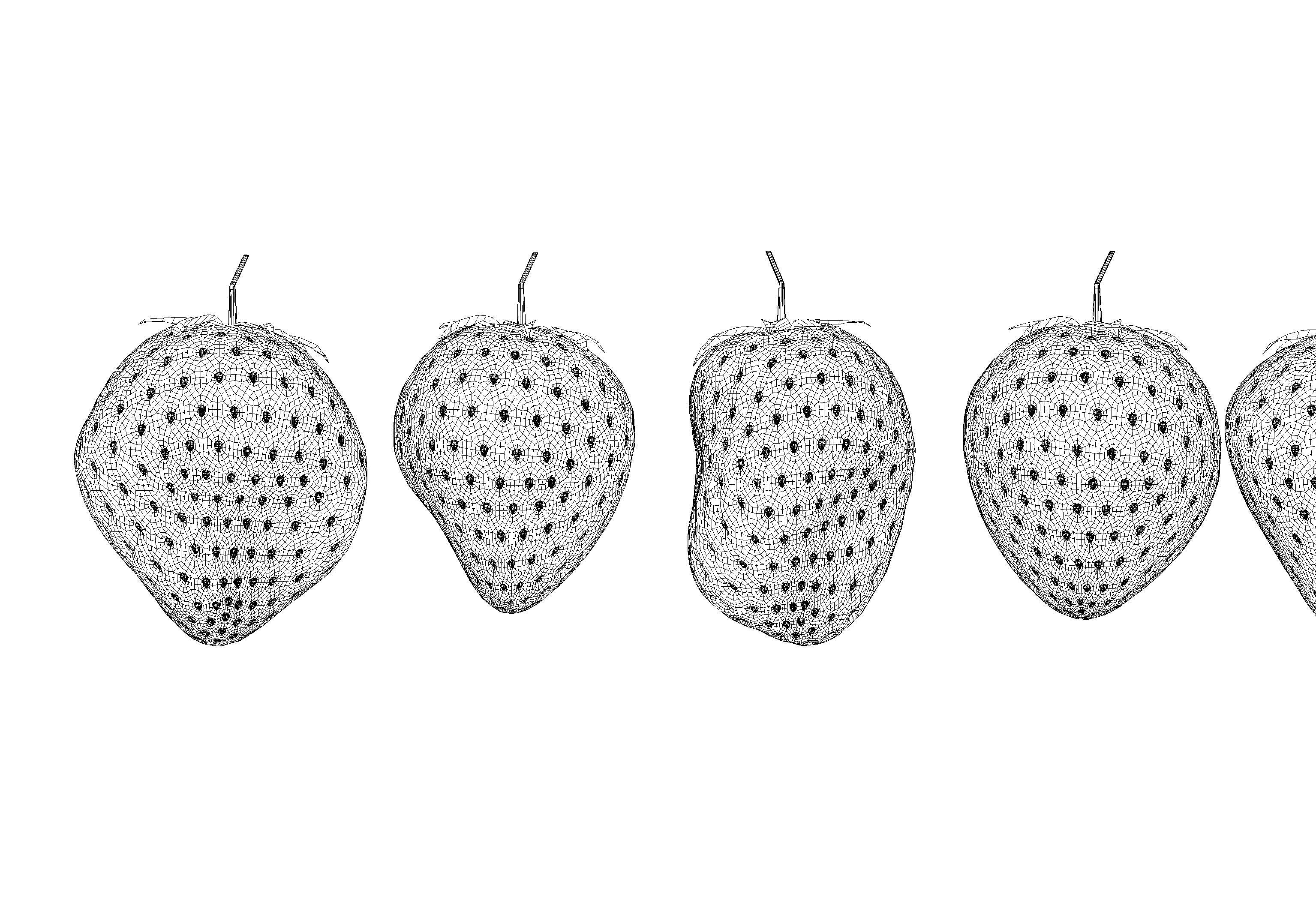 Irregular Shaped Strawberrys 3D model_8