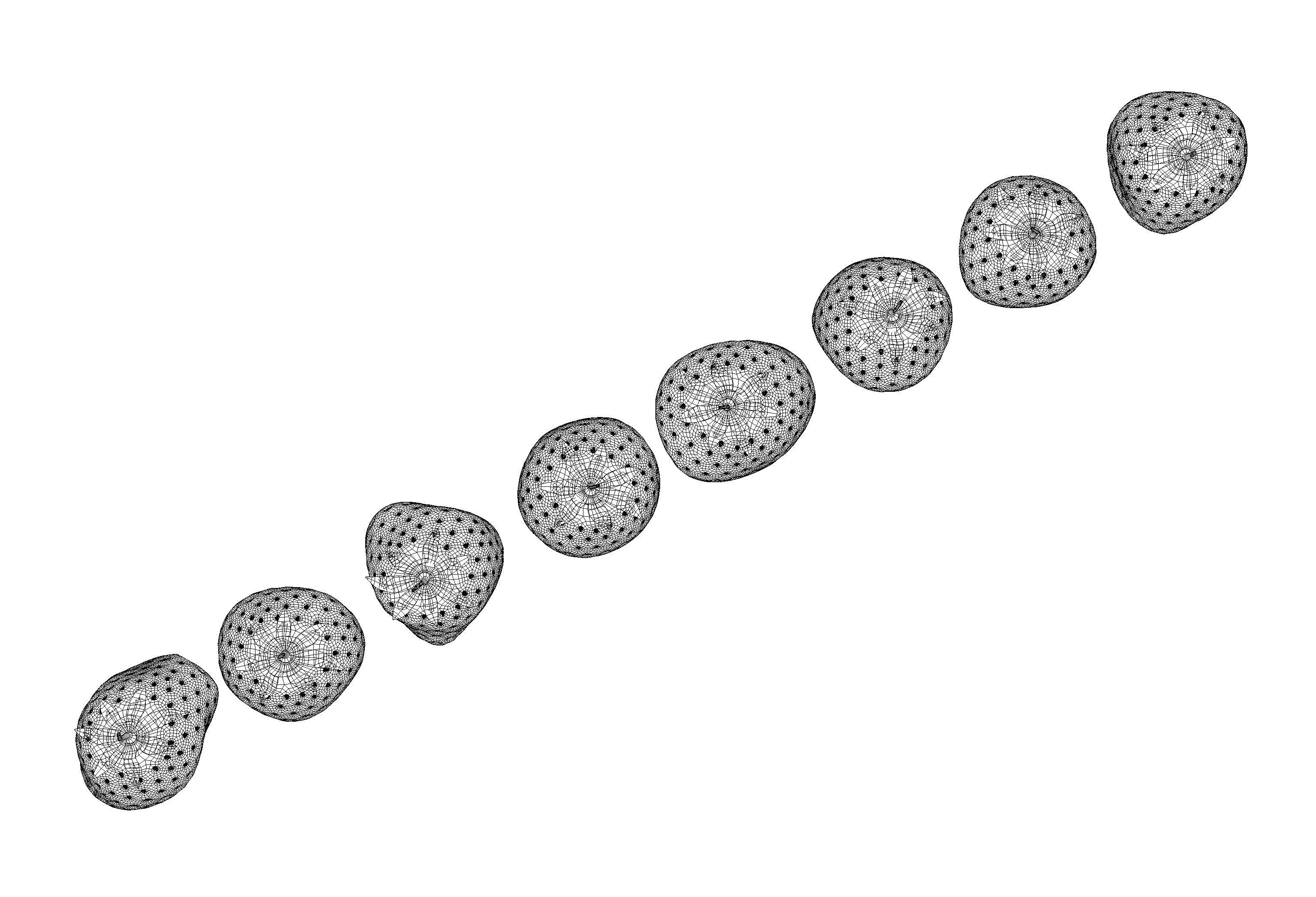 Irregular Shaped Strawberrys 3D model_6